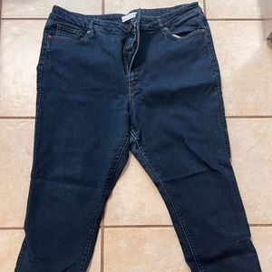 Loft curvy skinny 16w
